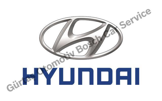 Ankara Hyundai Servisi